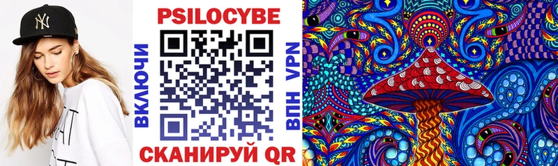 Галлюциногенные грибы Psilocybine cubensis  Ноябрьск 